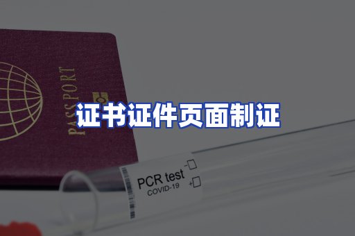 证书证件页面制证